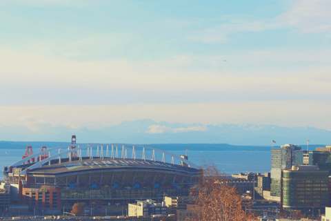 Seattle: Seattle Seahawks Football Game Ticket Club Level