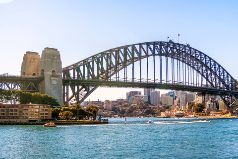 Från Sydney: Royal National Park privat rundtur