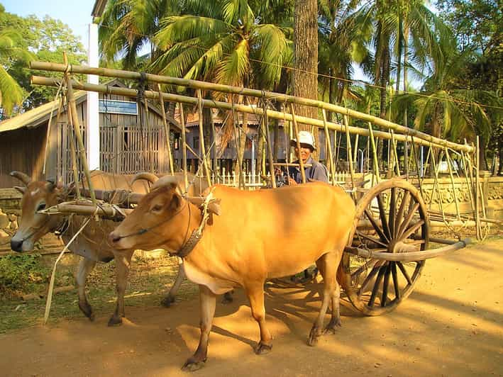 Phnom Penh City Tour & Koh Dach Silk Island Private Day Tour | GetYourGuide