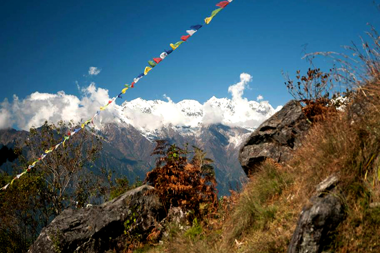 Trekking por el Valle de Langtang - 8 DíasOpción Estándar