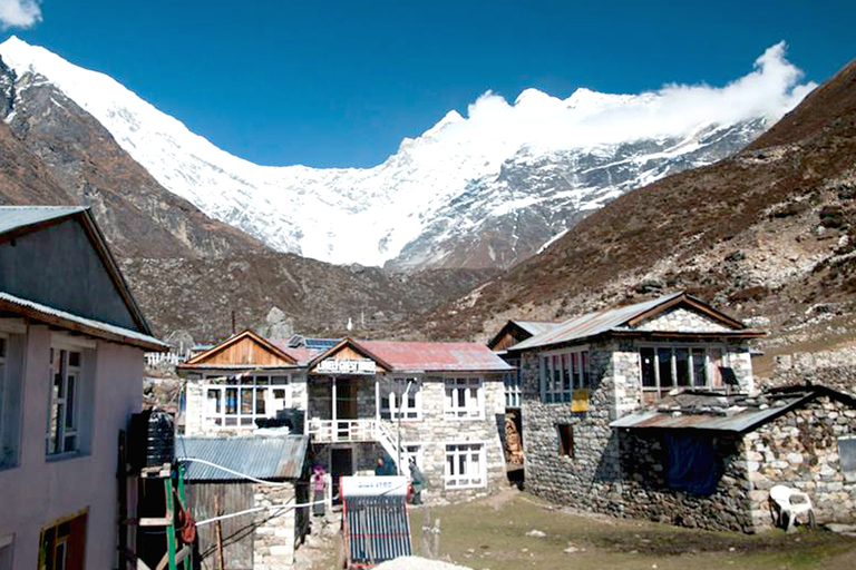 Trekking por el Valle de Langtang - 8 DíasOpción Estándar