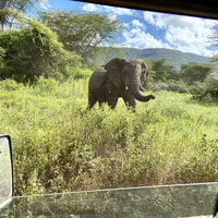 Day trip to tarangire national park - Housity