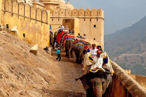 Privat:Erkunde den indischen Maharaja Jaipur TourEntdecke den indischen Maharadscha Jaipur Tour