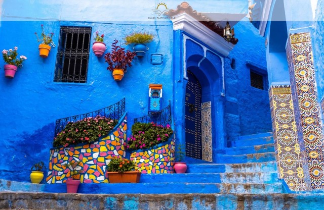 Visit Day Tour to Chefchaouen from Fes with Local Expert in Chefchaouen