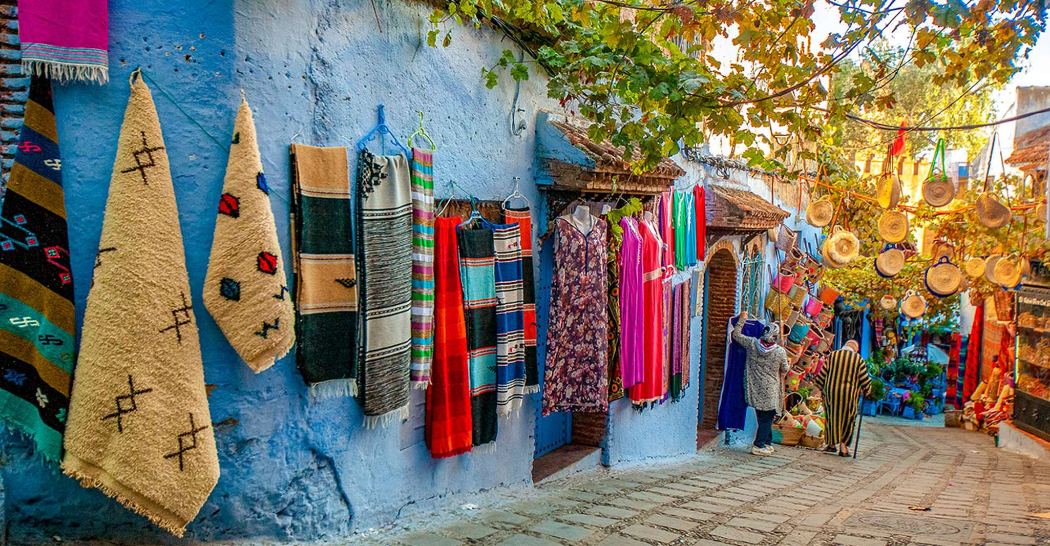 Day Tour to Chefchaouen from Fes with Local Expert - Housity