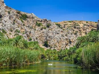 Vanuit Rethymno: Preveli Palmbos, Damnoni en Plakias Tour