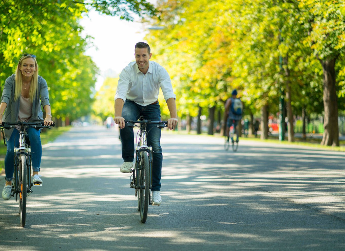 Wien: Guidede cykelture til byens højdepunkter