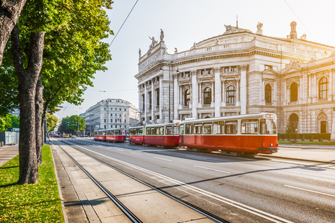 Wien: Geführte Fahrradtour zu den Highlights der Stadt3-stündige geführte Fahrradtour auf Englisch