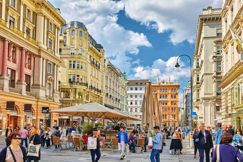 Vienna: City Highlights Guided Bike Tour 3-Hour Guided Bike Tour in Dutch