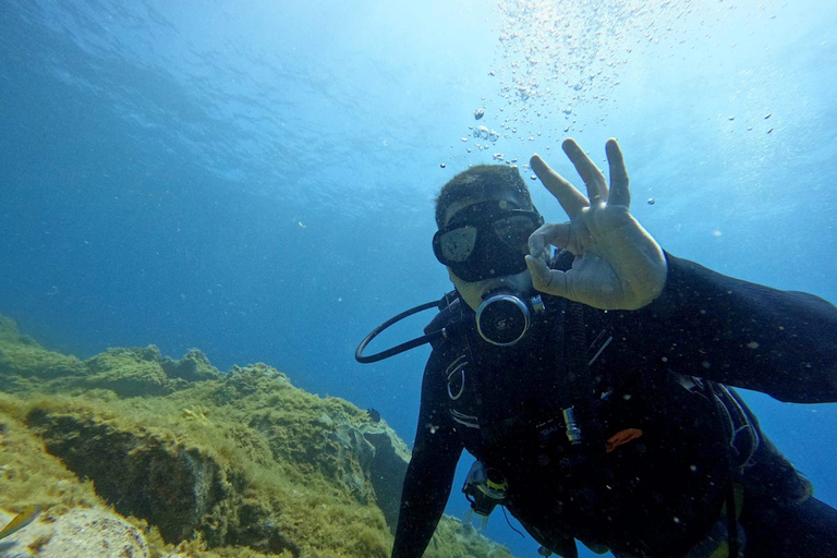 Tenerife: probeer duiken voor beginners in het schildpaddengebiedProbeer Dive voor beginners in het Turtle Area