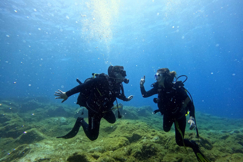 Tenerife: probeer duiken voor beginners in het schildpaddengebiedProbeer Dive voor beginners in het Turtle Area