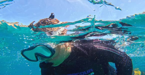 Tenerife: Puerto Colon Snorkel Safari by Speed Boat