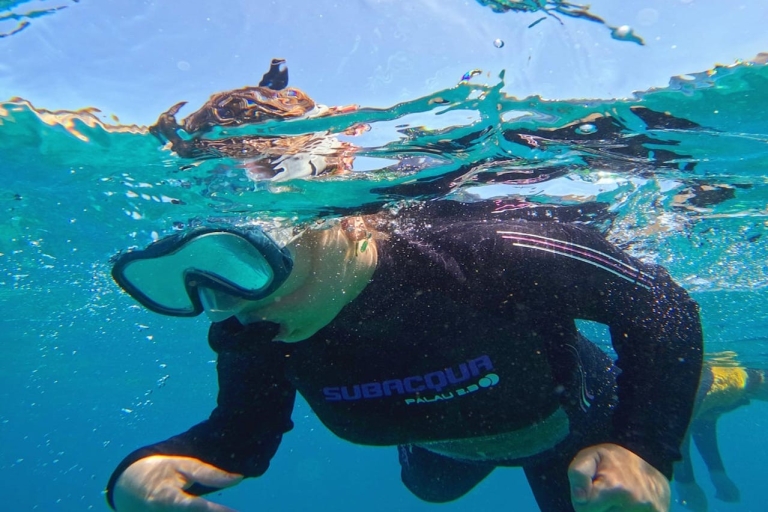Tenerife: snorkelsafari in het schildpaddengebied