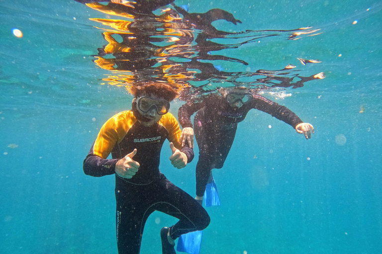 Tenerife: Safári de mergulho com snorkel em Puerto Colón em lancha rápidaTenerife: Puerto Colon Snorkel Safari em lancha