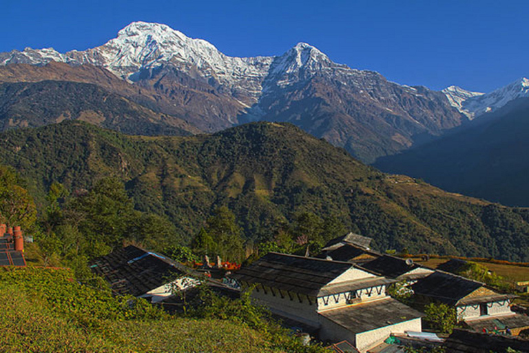 6 nuits et 7 jours de trek à Poon Hill depuis Katmandou5 nuits et 6 jours de trek à Poon Hill depuis Katmandou