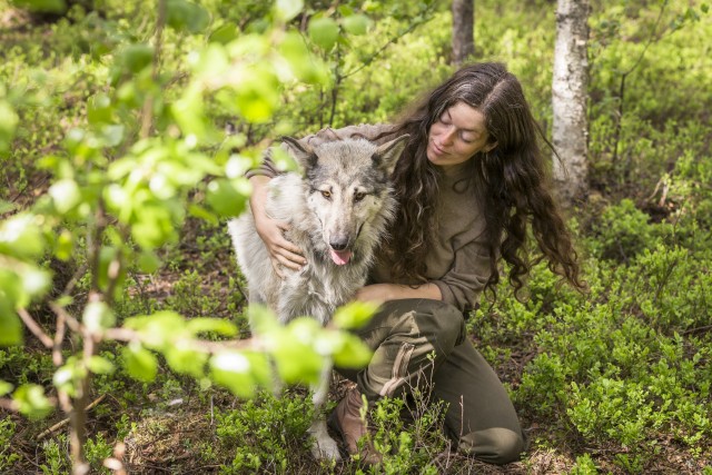 Visit Meet Taivas & the Arctic Wolves in Ranua, Finland