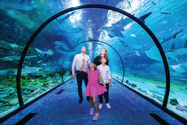 Louvre Abu Dhabi und das National Aquarium Exklusive Kombination