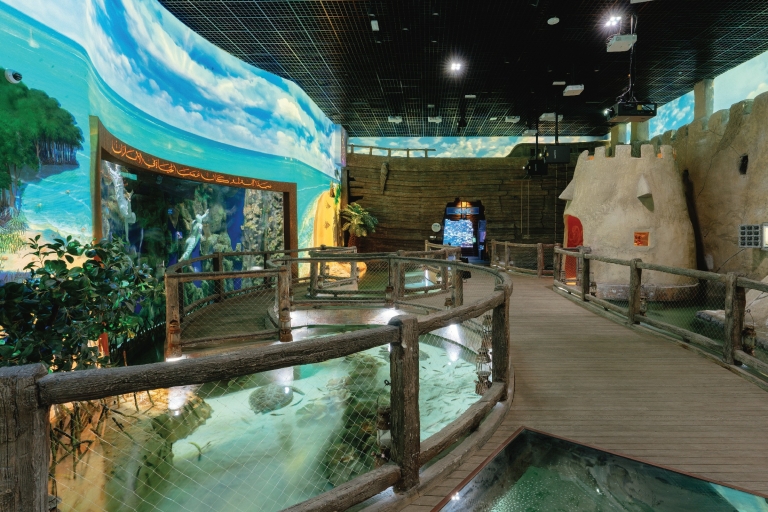 Louvre Abu Dhabi et l'Aquarium national - Combinaison exclusive