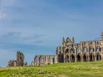 Whitby: Whitby Abbey Ticket
