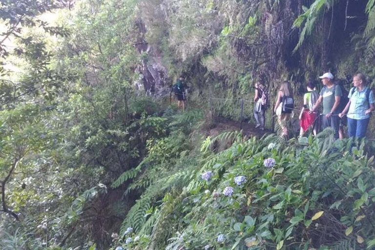 Levada das Queimadas - Caldeirão Verde