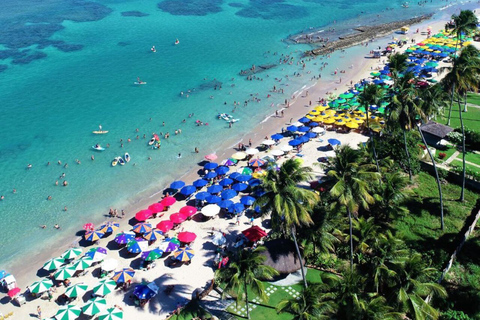 From Recife : Tour for Porto de Galinhas Tour for Porto de Galinhas - departure from Recife