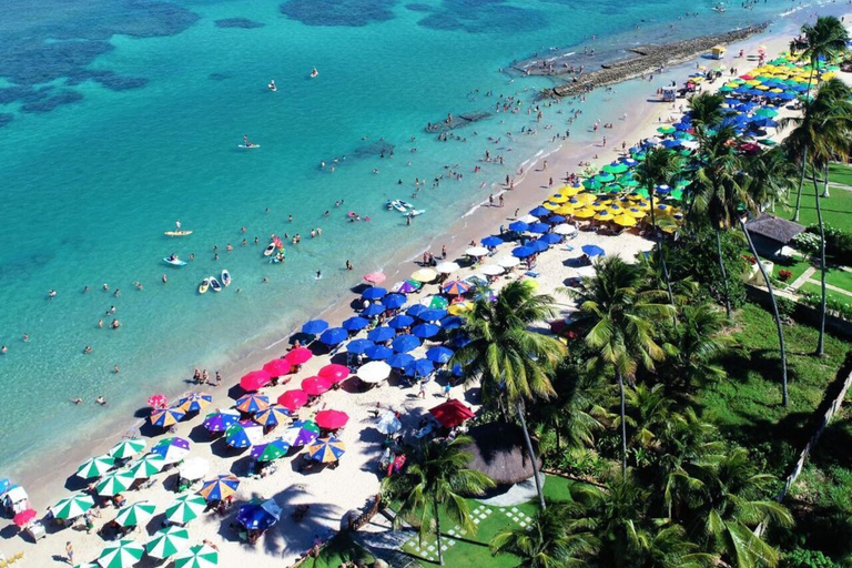 From Recife : Tour for Porto de Galinhas Tour for Porto de Galinhas - departure from Recife