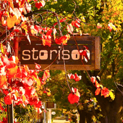 Adelaide City Highlights Half-Day Tour, Mt Lofty & Hahndorf