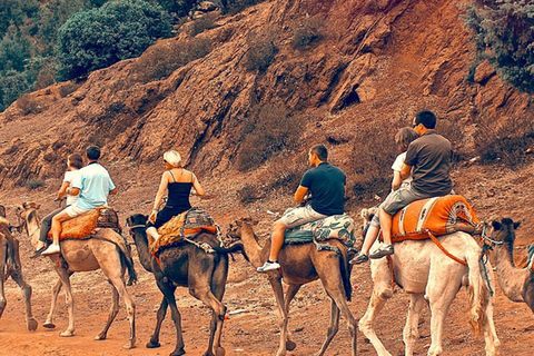 Montanhas do Atlas: vales berberes, cachoeiras e passeio de camelo