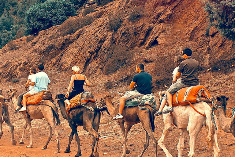 Montanhas do Atlas: vales berberes, cachoeiras e passeio de camelo