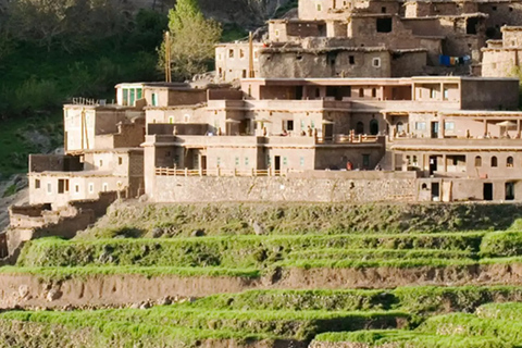 Atlas Mountains: Berber Valleys, Waterfalls &amp; Camel Ride