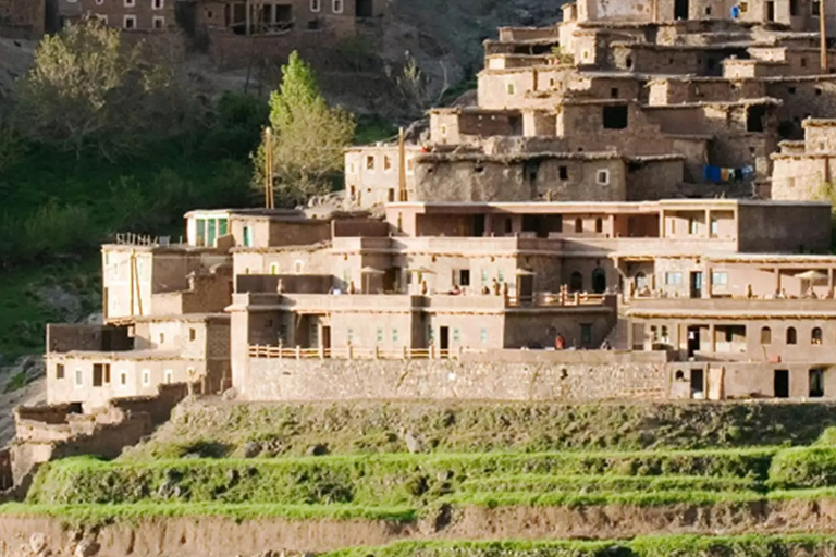 Atlas Mountains: Berber Valleys, Waterfalls & Camel Ride