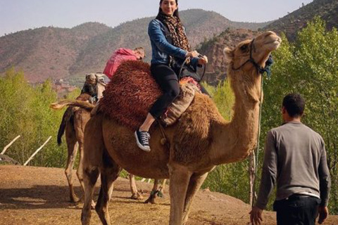 Atlas Mountains: Berber Valleys, Waterfalls &amp; Camel Ride