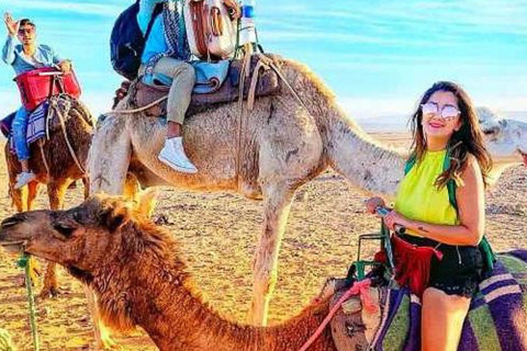 Atlas Mountains: Berber Valleys, Waterfalls & Camel Ride