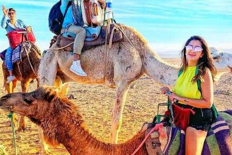 Atlas Mountains: Berber Valleys, Waterfalls & Camel Ride