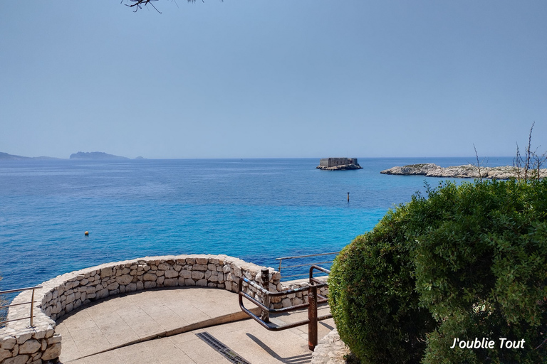 Marseille vue de l&#039;intérieur, Expériences locales