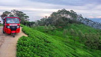 Kandy Nach Nuwara Eliya Tagestour Von Tuk Tuk Sri lanka - Hizvo