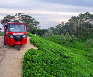 Kandy To Nuwara Eliya Day Tour By Tuk Tuk Sri lanka