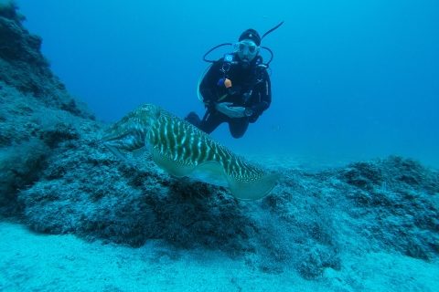 Gran Canaria: Try Scuba Diving for Beginners Gran Canaria: Try Scuba Diving for Beginners English