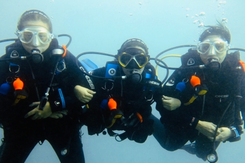 Gran Canaria: probeer duiken voor beginnersGran Canaria: probeer duiken voor beginners Italiaans