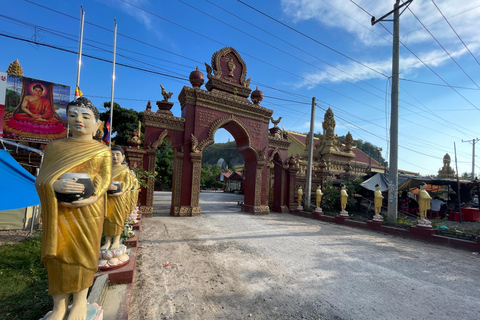 Battambang: Bambutåg och fladdermusgrotta från Siem Reap