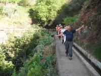 Levada dos Maroços - Half Day - Easy Walk - Housity