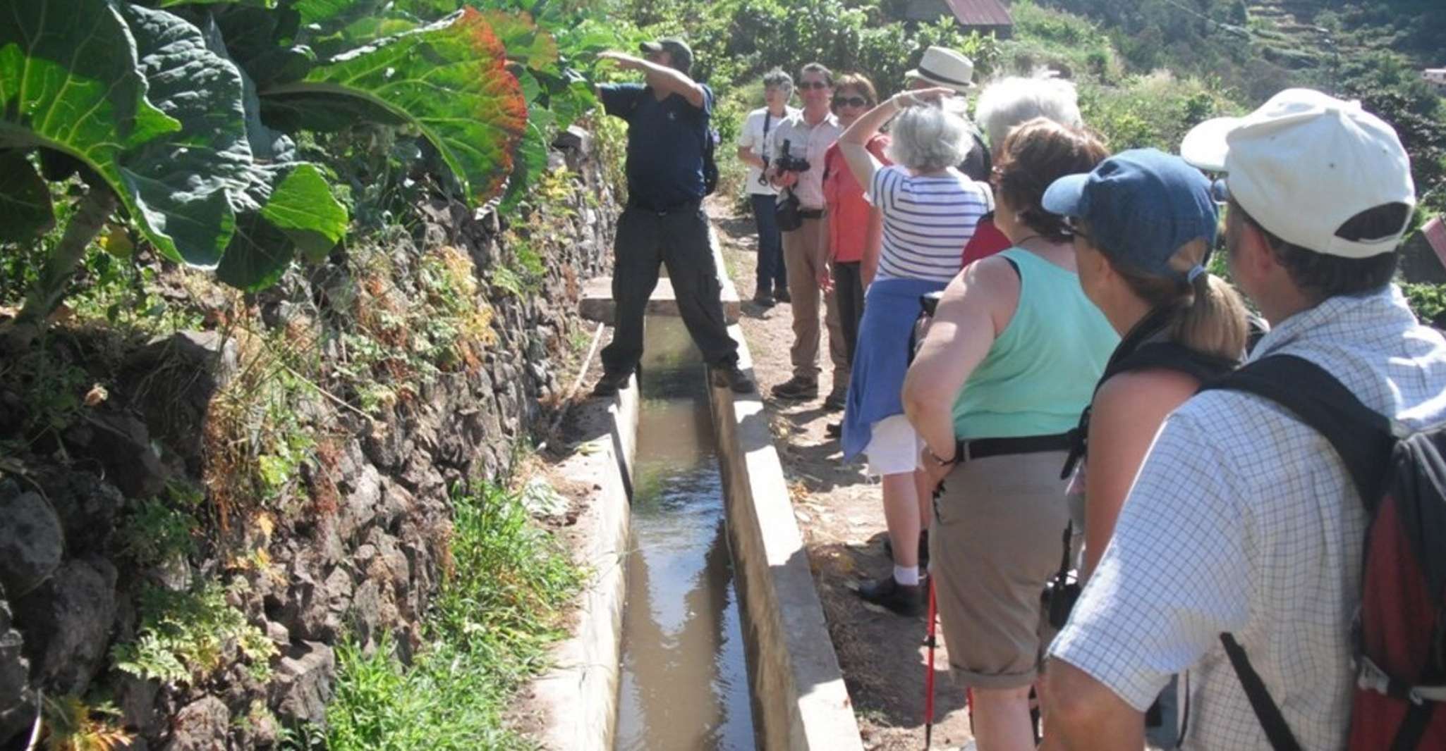 Levada dos Maroços - Half Day - Easy Walk - Housity