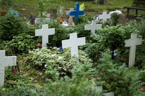 Keulen: Melaten-begraafplaats met privérondleiding door de oude stad