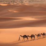 Da Marrakech: Tour di 3 giorni di Merzouga e del deserto del Sahara