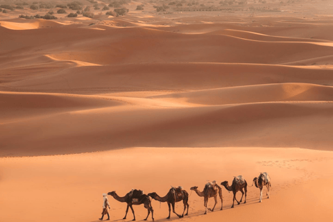 Från Marrakech: 3-dagars Merzouga- och SaharaökenturDelad standardresa