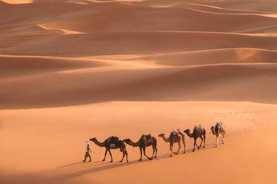 Von Marrakech aus: 3-tägige Merzouga- und Sahara-Wüstentour