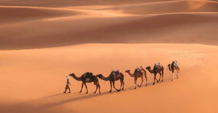 Iš Marakešo: Merzouga ir Sacharos dykuma: 3 dienų ekskursija po Merzougą ir Sacharos dykumą iš Marakešo