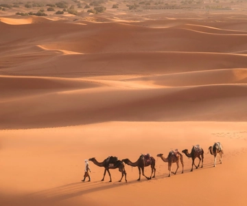 Desde Marrakech Excursión de 3 días a Merzouga y el desierto del Sahara