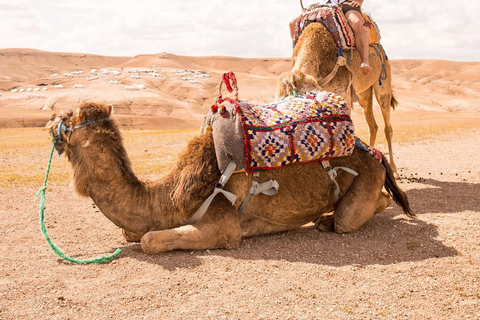 Marrakech: Middag i Agafayöknen med musik och eldshow