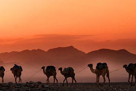 Marrakech: cena nel deserto di Agafay con musica e spettacolo di fuoco